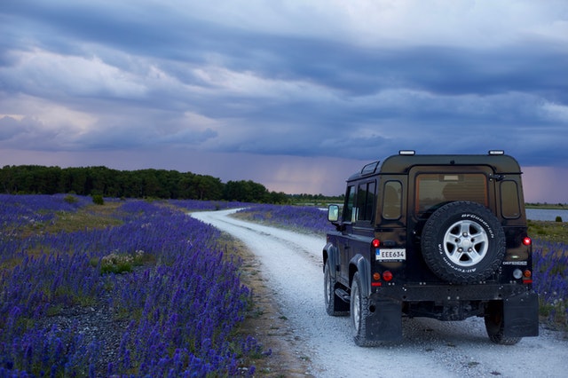 black suv in between purple flower fields 754595