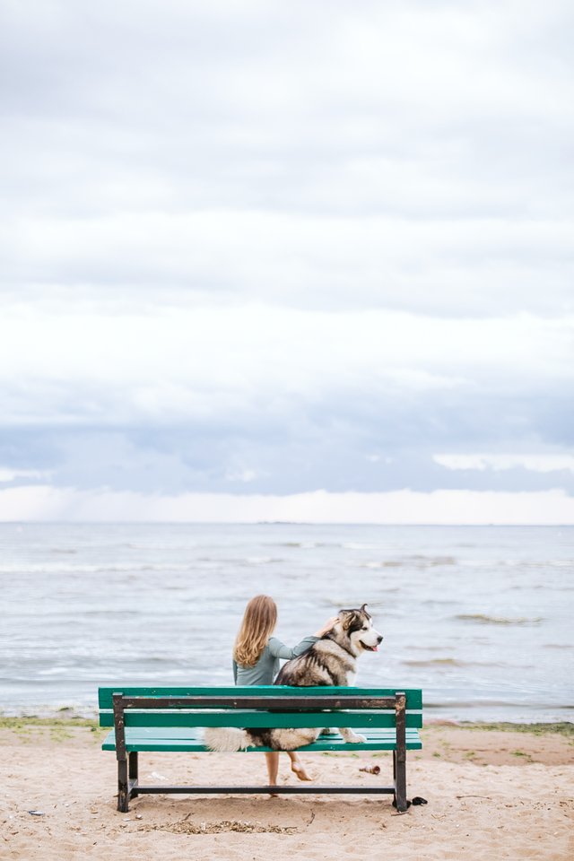 woman sitting in a beach bench with her pet 3663040